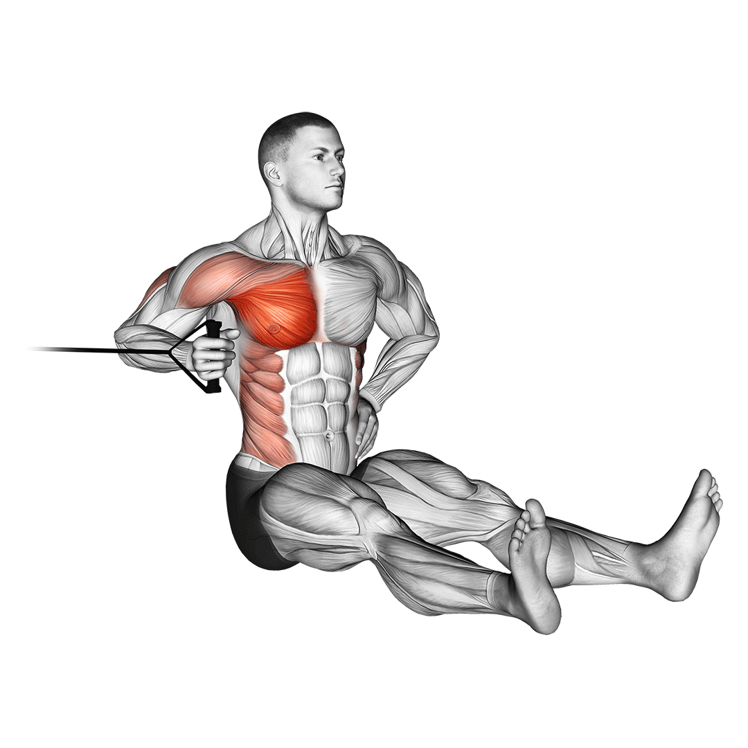 Band One Arm Twisting Chest Press demo