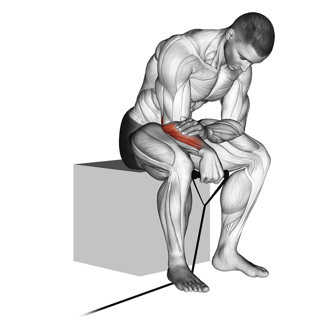 Band Reverse Wrist Curl demo