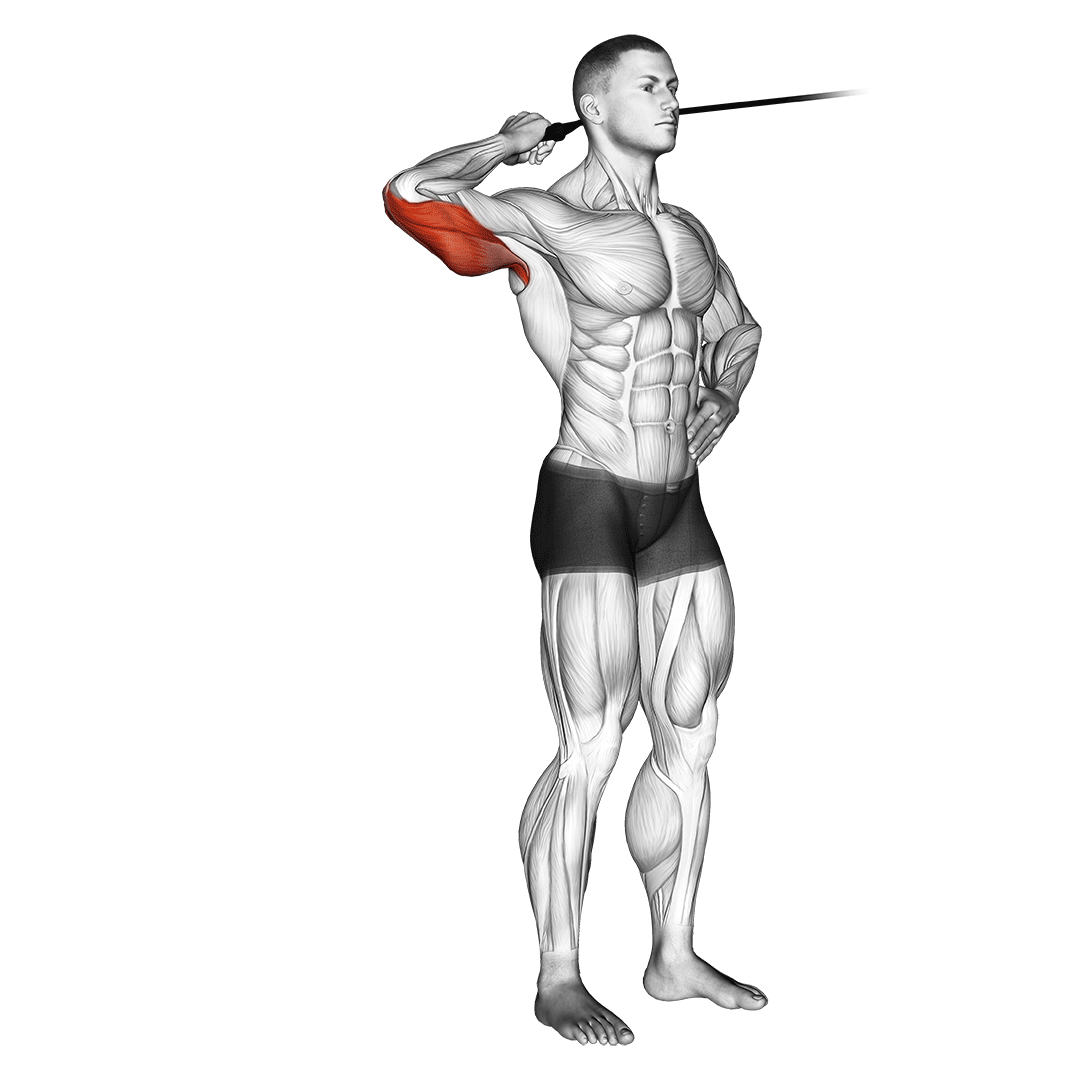 Band Side Triceps Extension demo