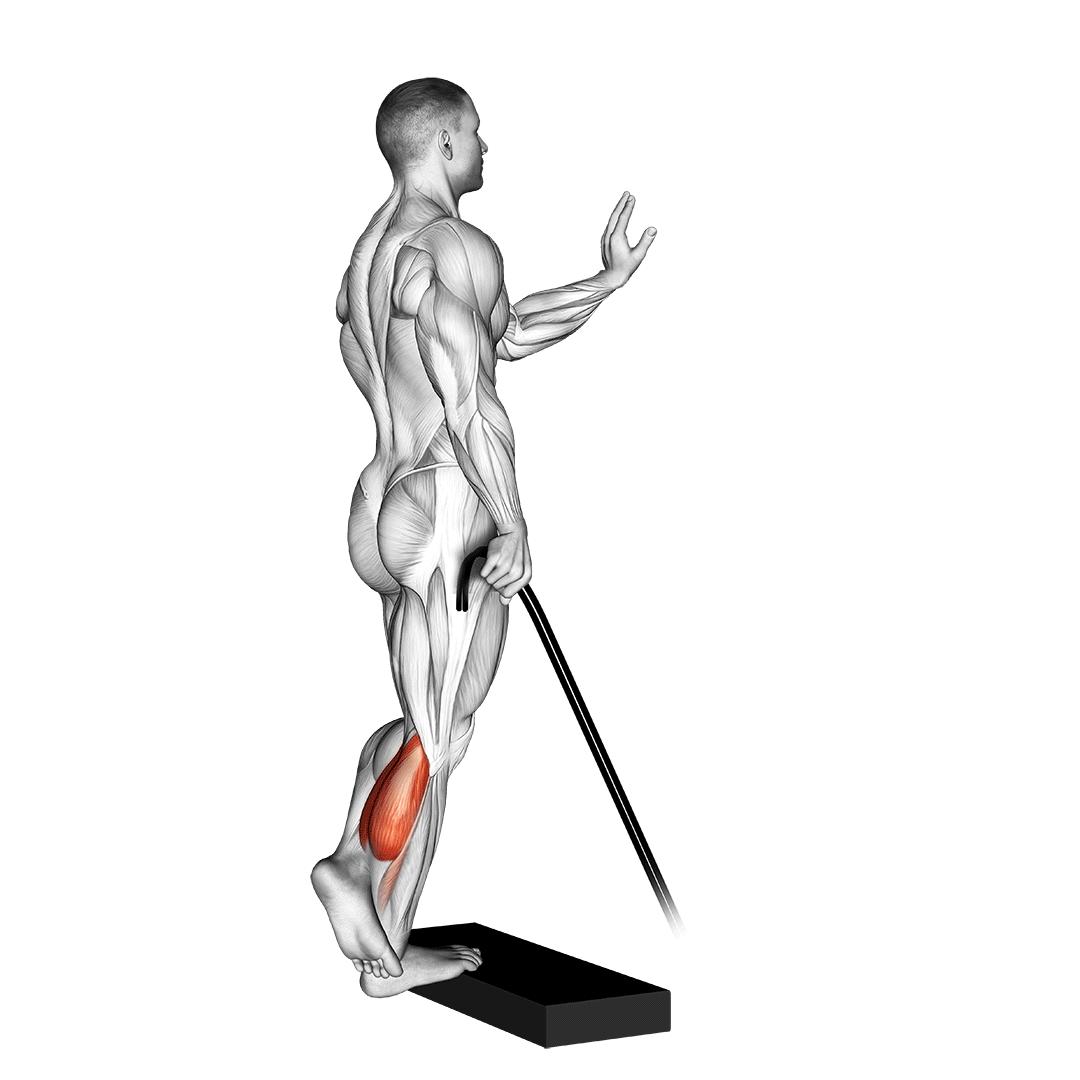 Band Single Leg Calf Raise demo