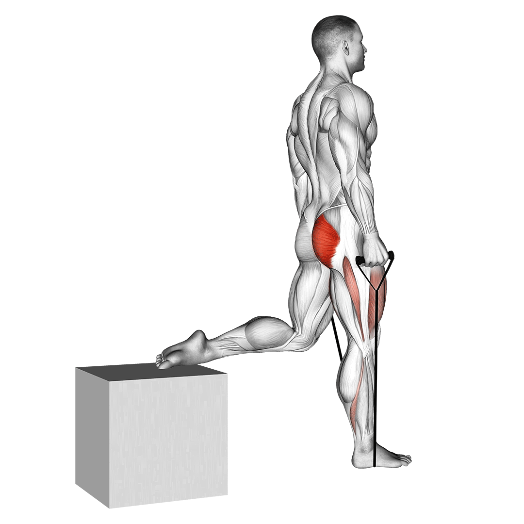Band Single Leg Split Squat demo