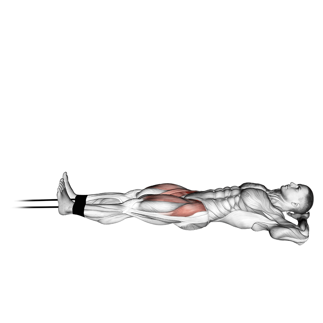 Band Lying Straight Leg Raise demo