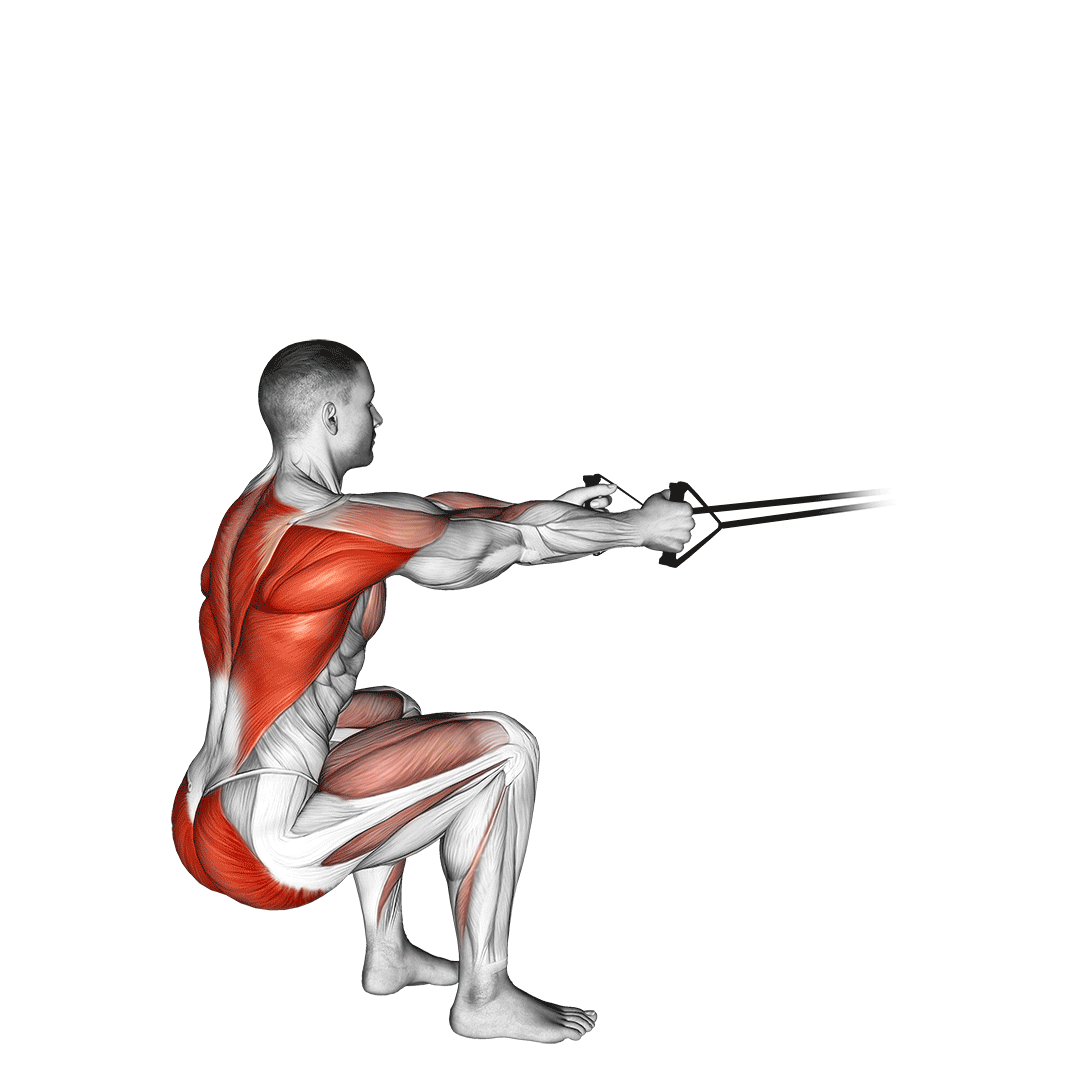 Band Squat Row demo