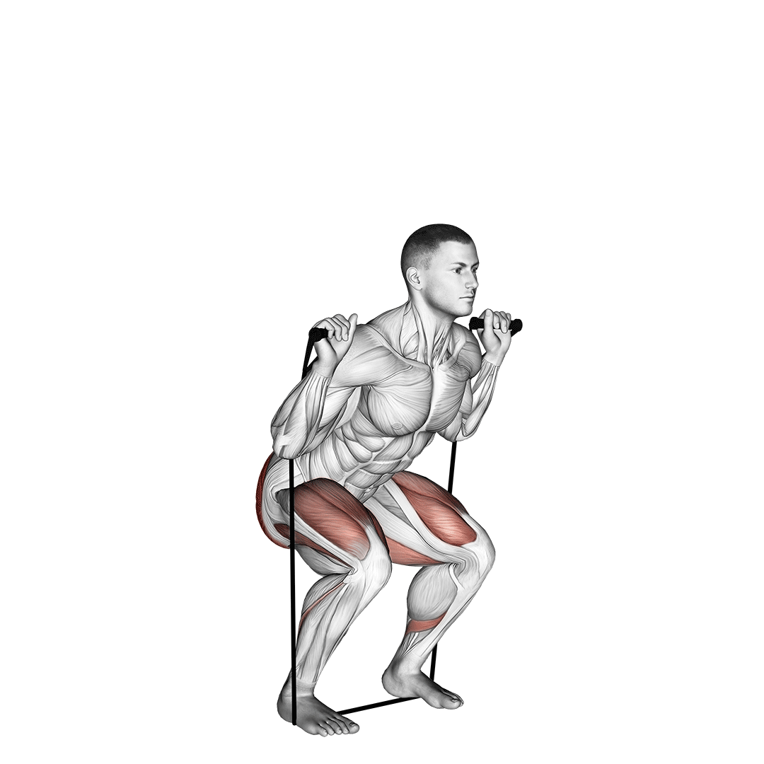 Band Squat demo
