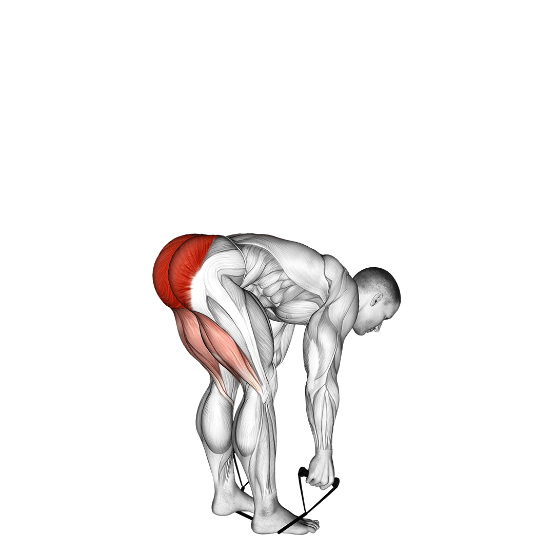 Band Stiff Leg Deadlift demo
