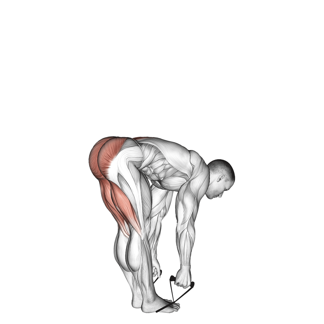 Band Straight Leg Deadlift demo