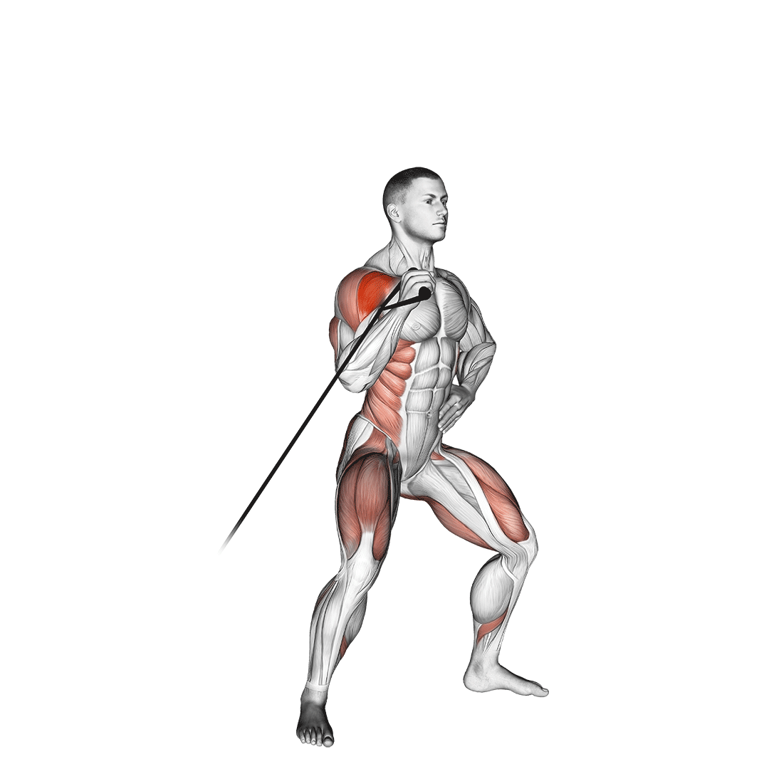 Band Twisting Overhead Press demo