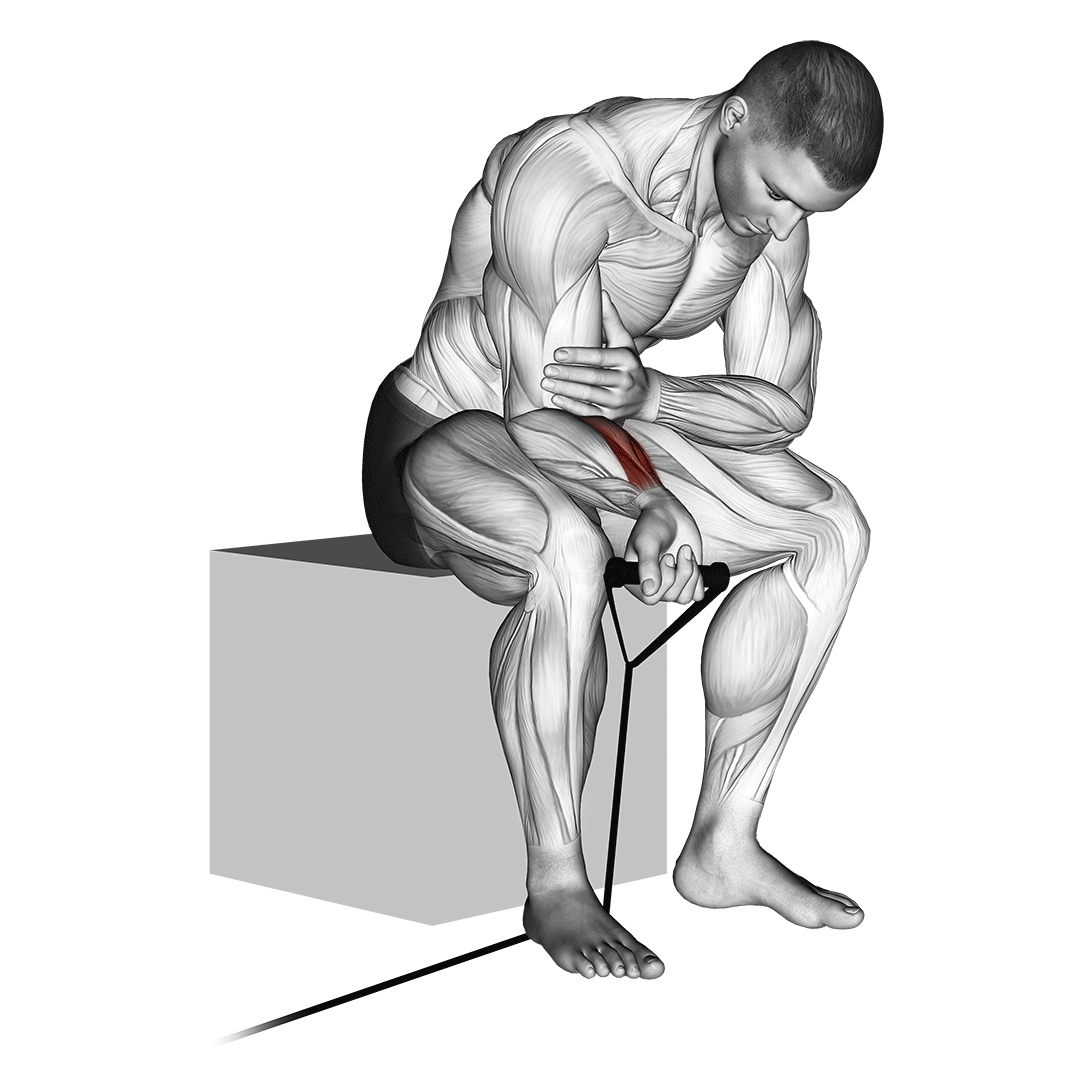 Band Wrist Curl demo
