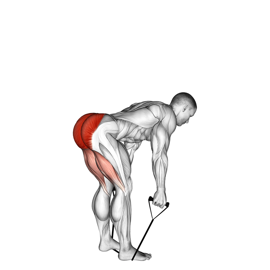 Band Straight Back Stiff Leg Deadlift demo