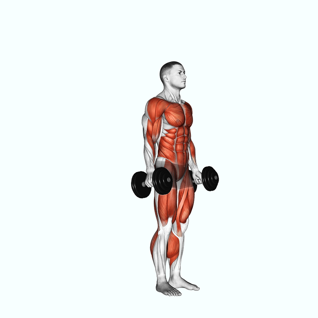 Dumbbell Burpee demonstration