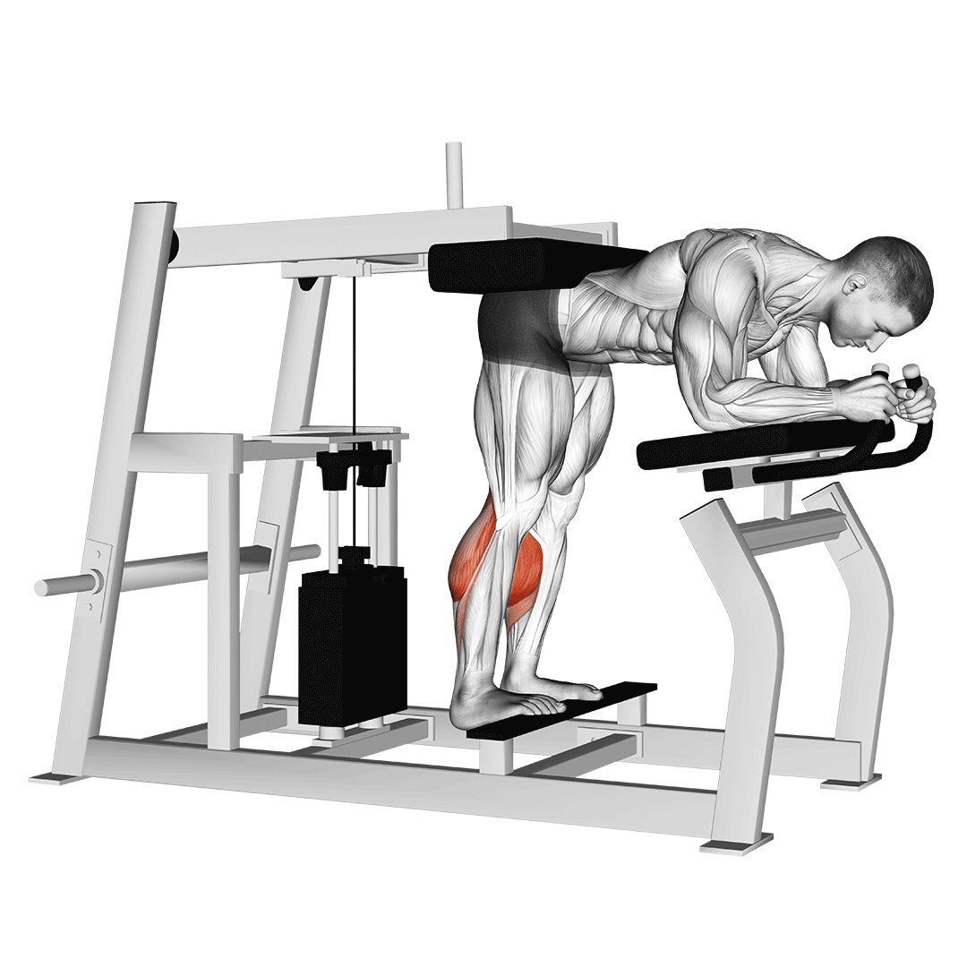 Lever Donkey Calf Raise demo