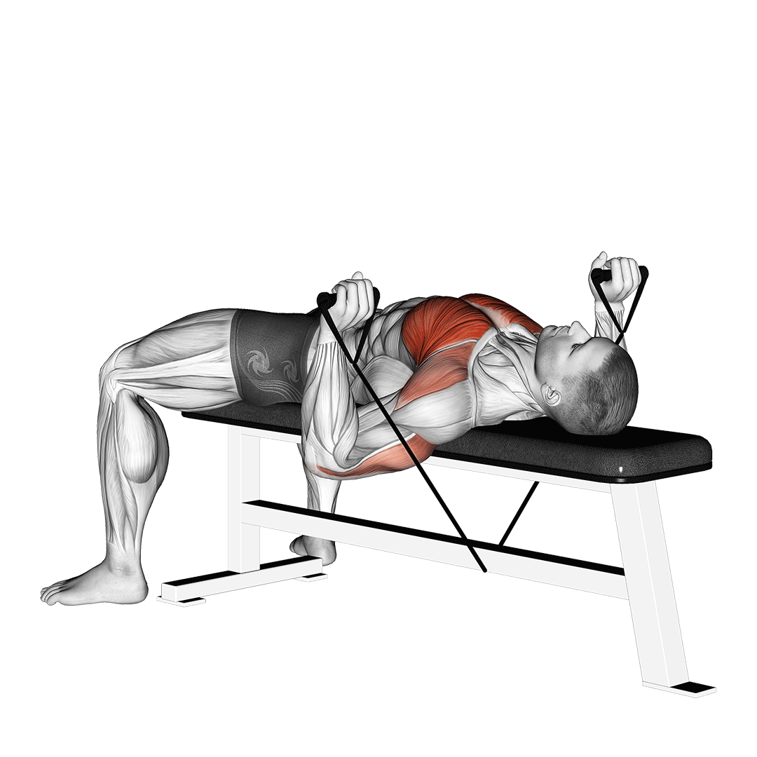Band Bench Press demo
