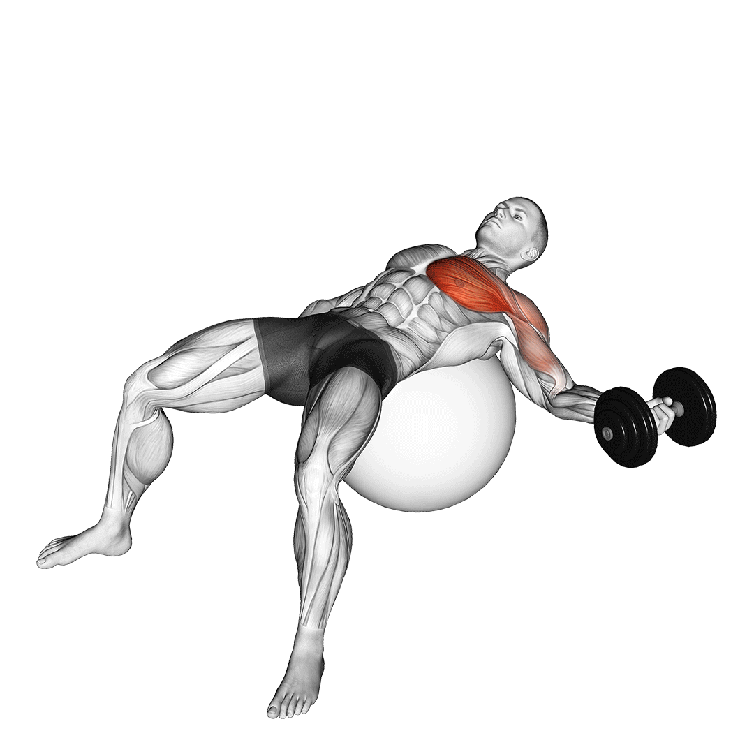 Dumbbell One Arm Chest Fly On Exercise Ball demonstration