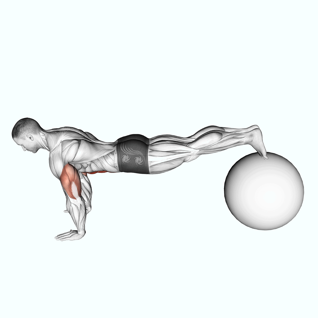 Exercise Ball Pike Push Up demonstration