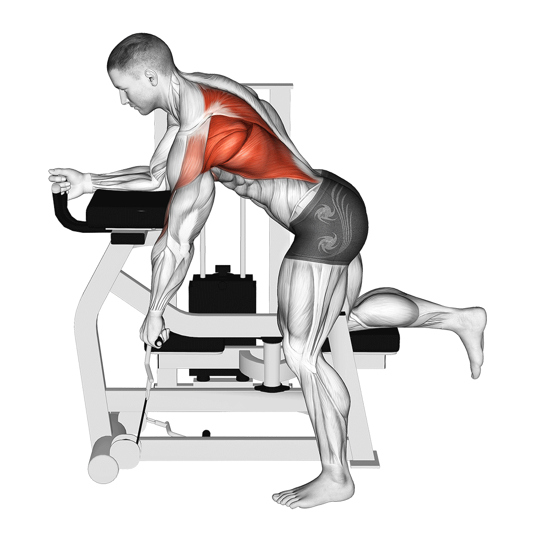 Lever Unilateral Row demo