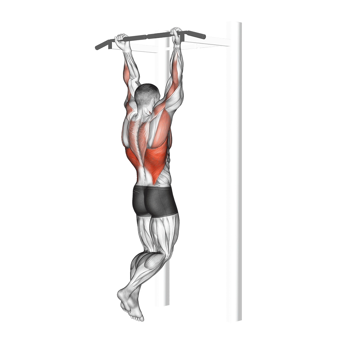 Chin-Up demo
