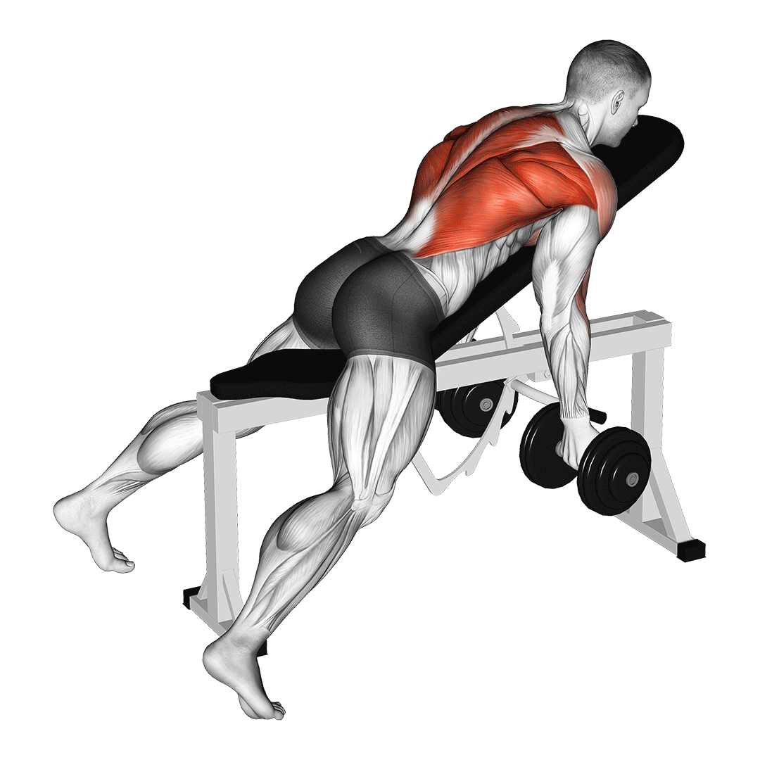 Dumbbell Lying Rear Delt Row demo