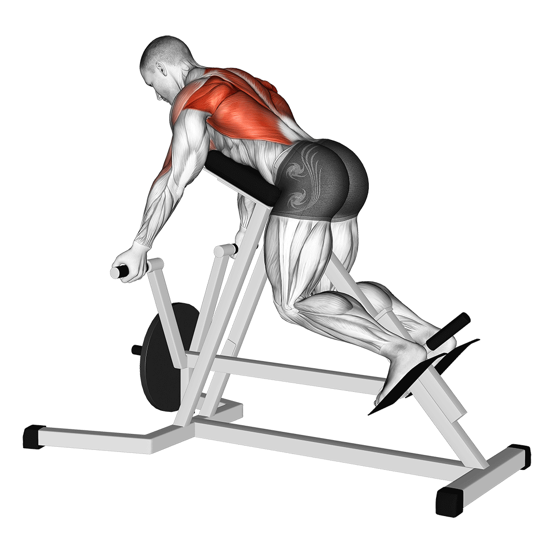 Lever Reverse T-Bar Row demonstration