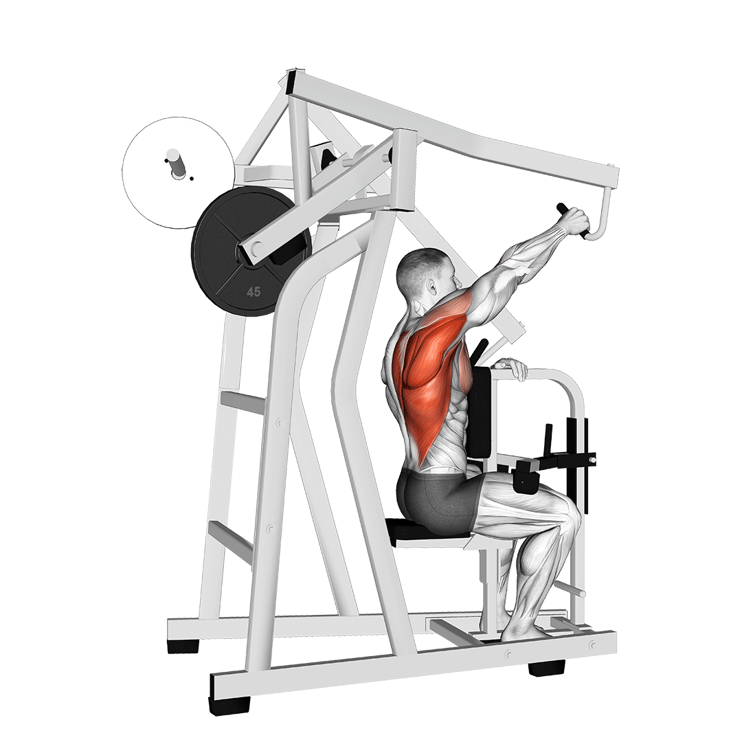 Lever One Arm Lateral High Row demonstration
