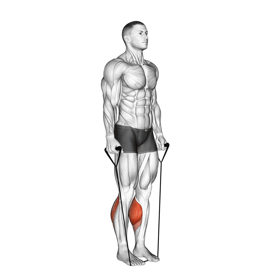 Band Two Legs Calf Raise - (Band Under Both Legs) V. 2 demo