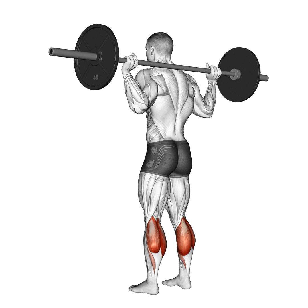 Barbell Floor Calf Raise demo