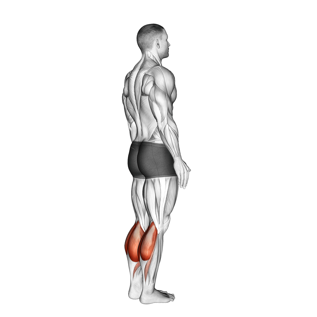 Bodyweight Standing Calf Raise demo