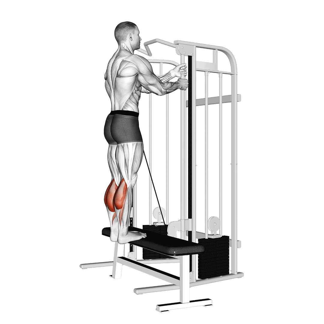 Cable Standing Calf Raise demo