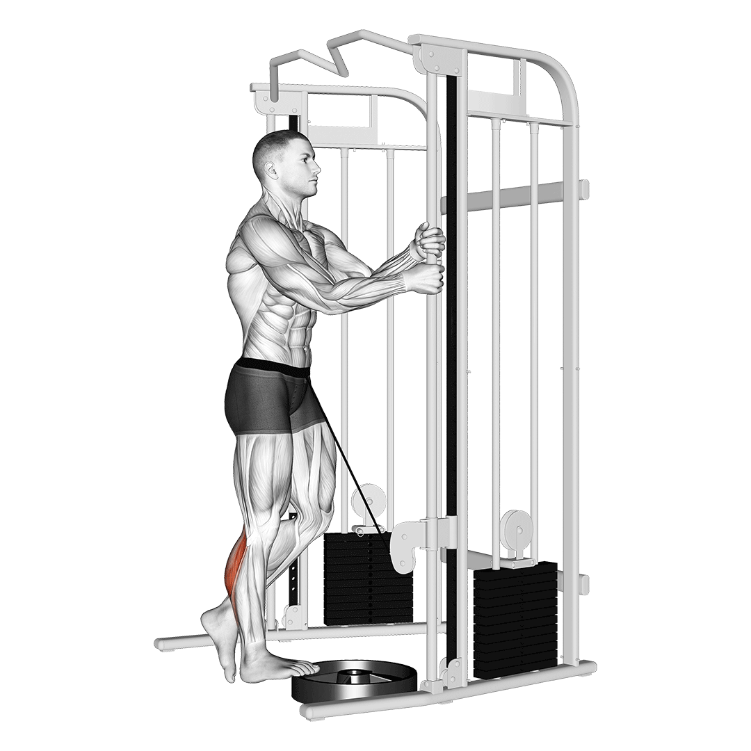 Cable Standing One Leg Calf Raise demo