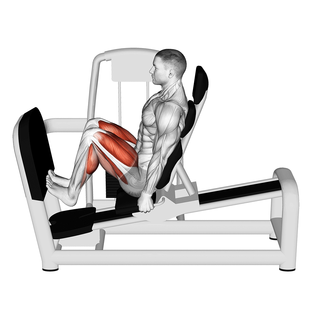 Lever Seated Squat Calf Raise On Leg Press Machine demo