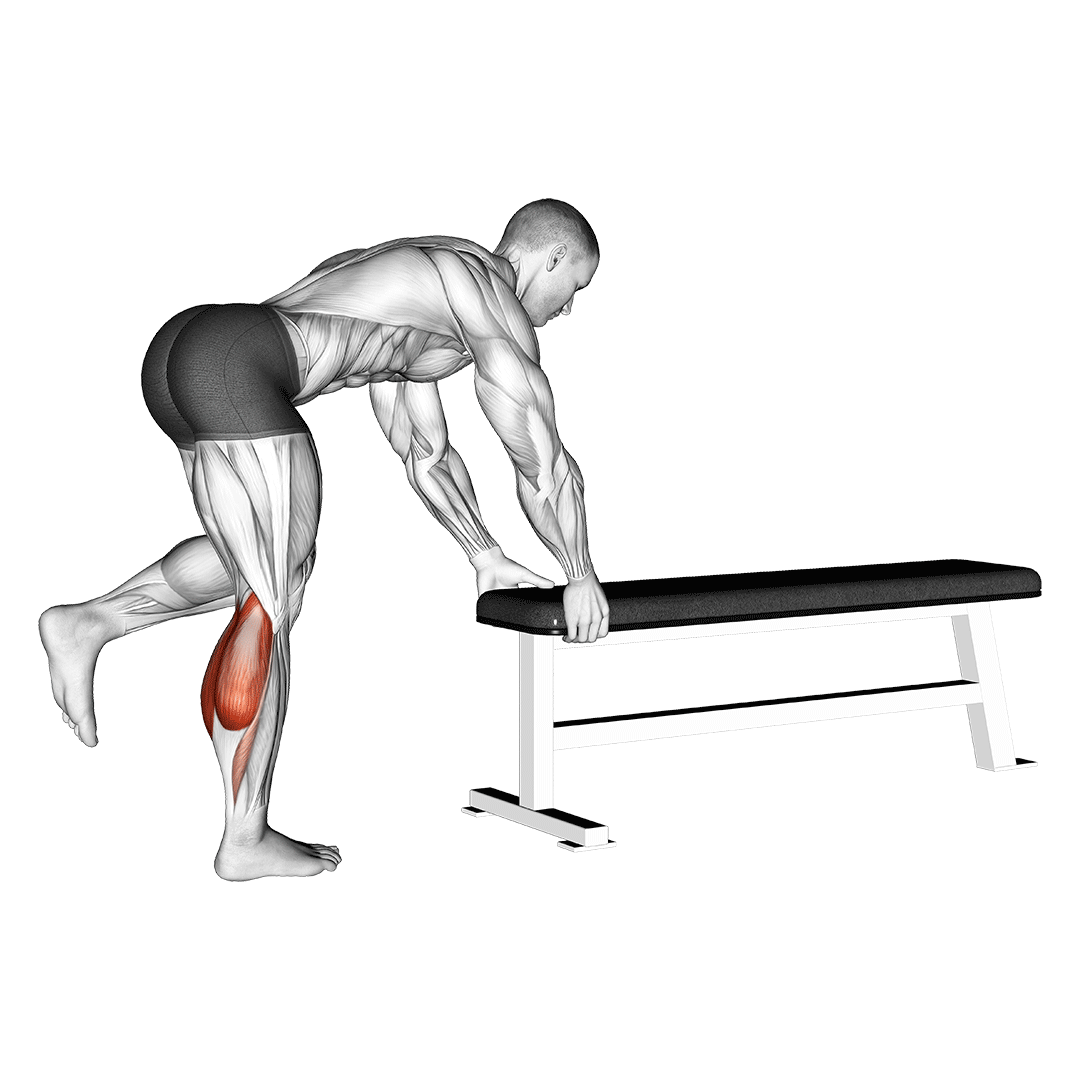 One Leg Donkey Calf Raise demo