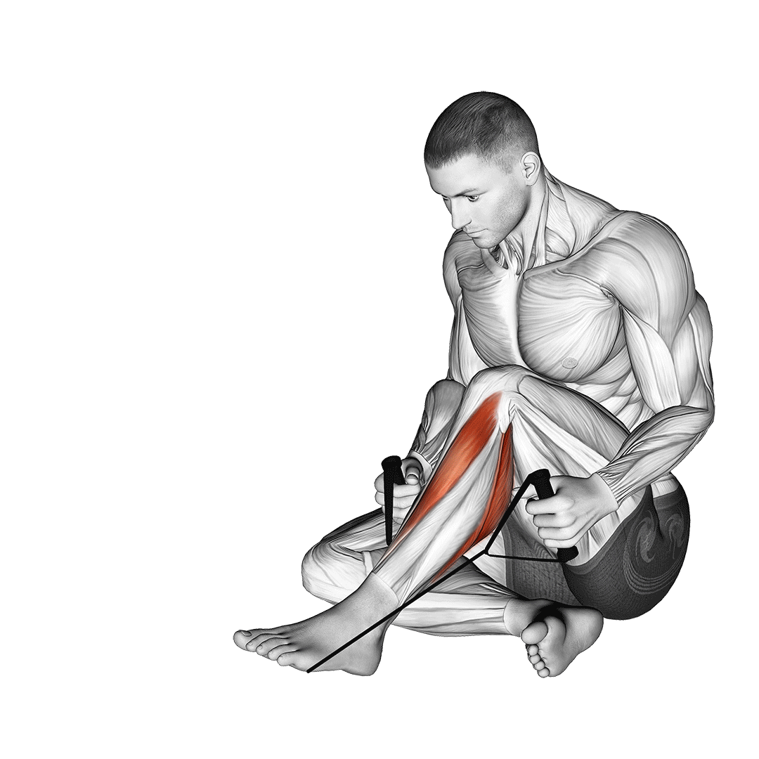 Posterior Tibialis Stretch demo