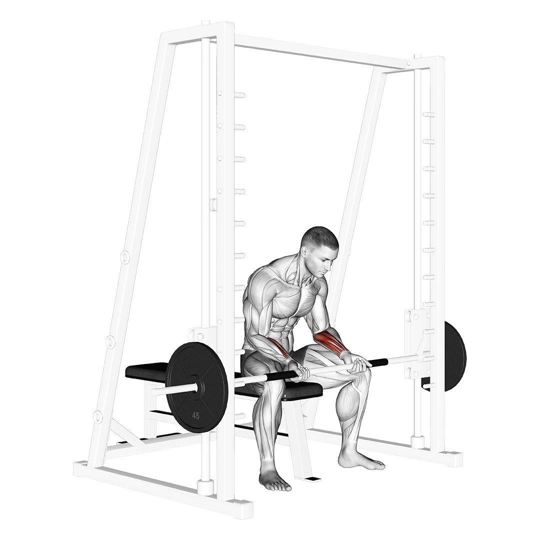 Smith Seated Wrist Curl demo