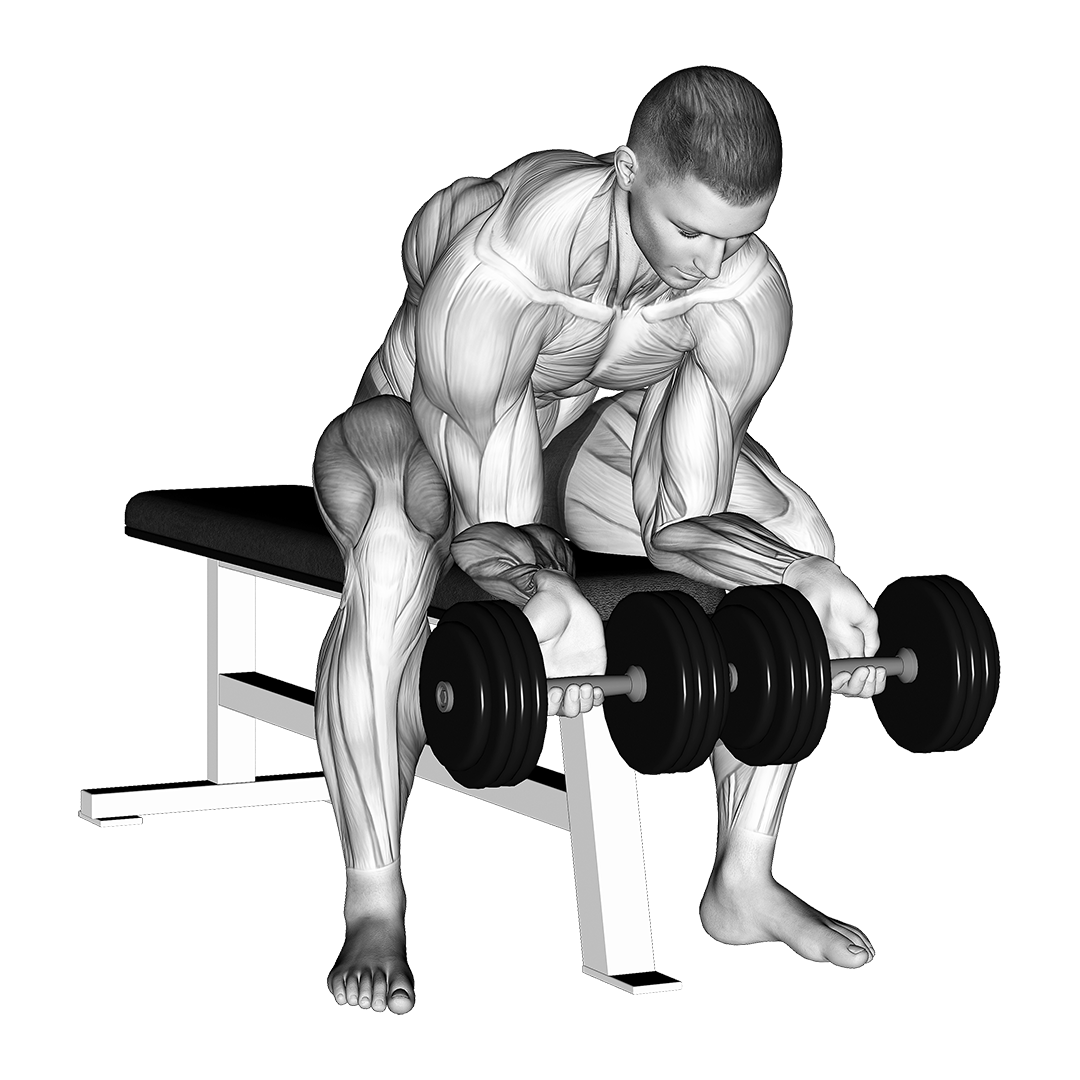 Dumbbell Finger Curls demo
