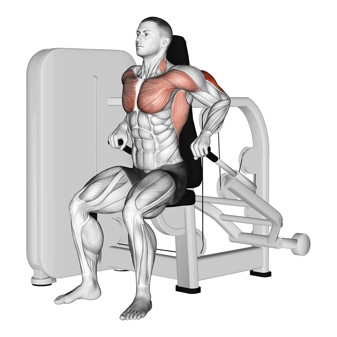 Lever Seated Dip demo