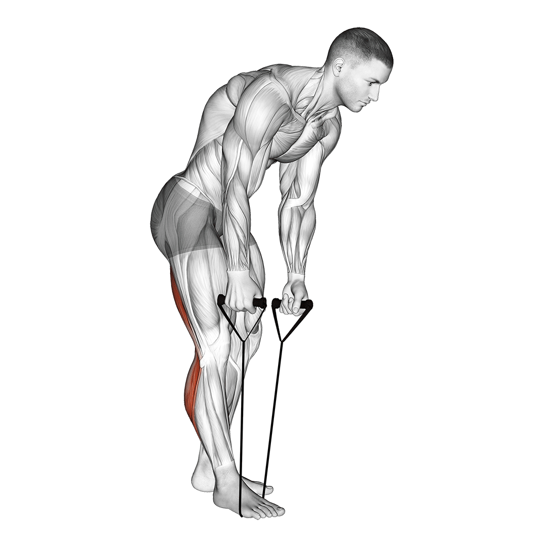 Standing Hamstring And Calf Stretch With Strap demo