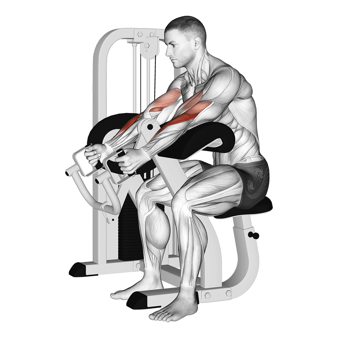 Lever Hammer Grip Preacher Curl demo