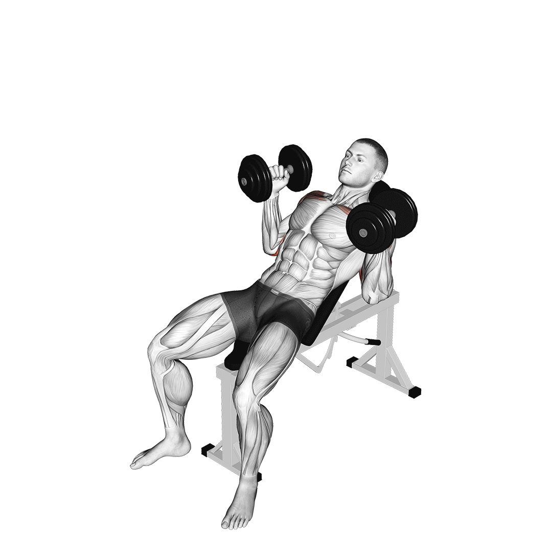 Dumbbell Palms In Incline Bench Press demo