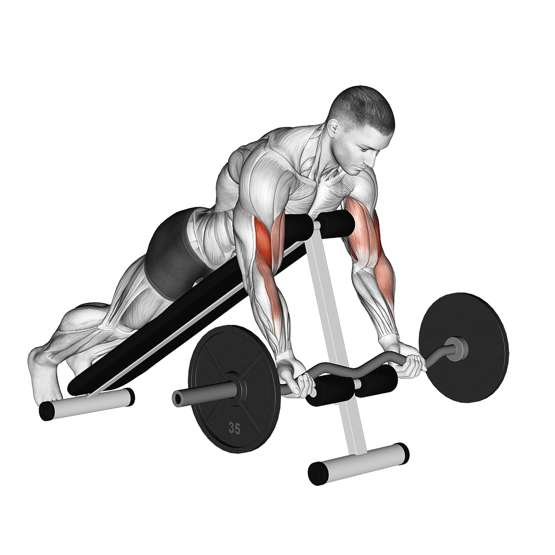 Ez Barbell Spider Curl demo