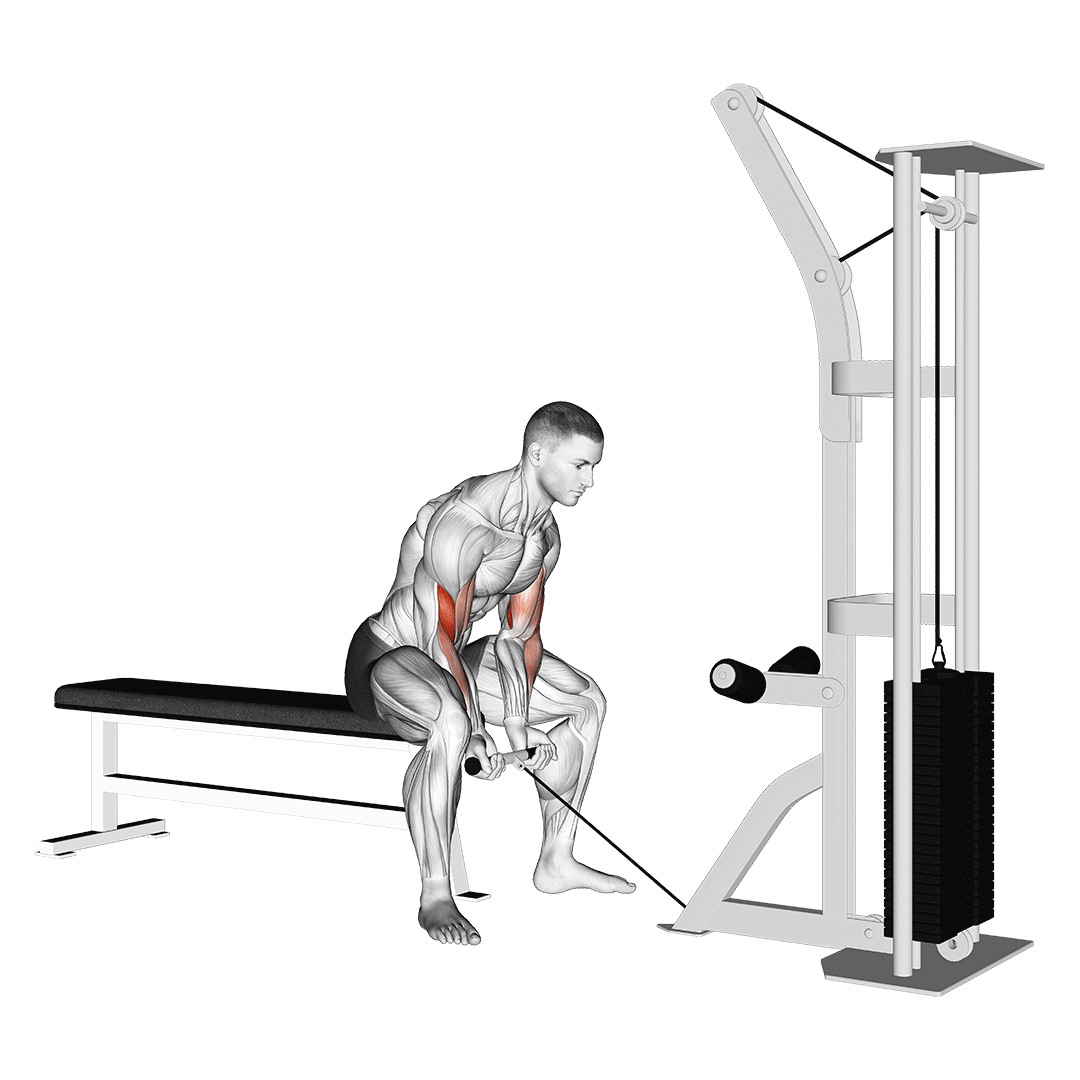 Cable Concentration Curl demo