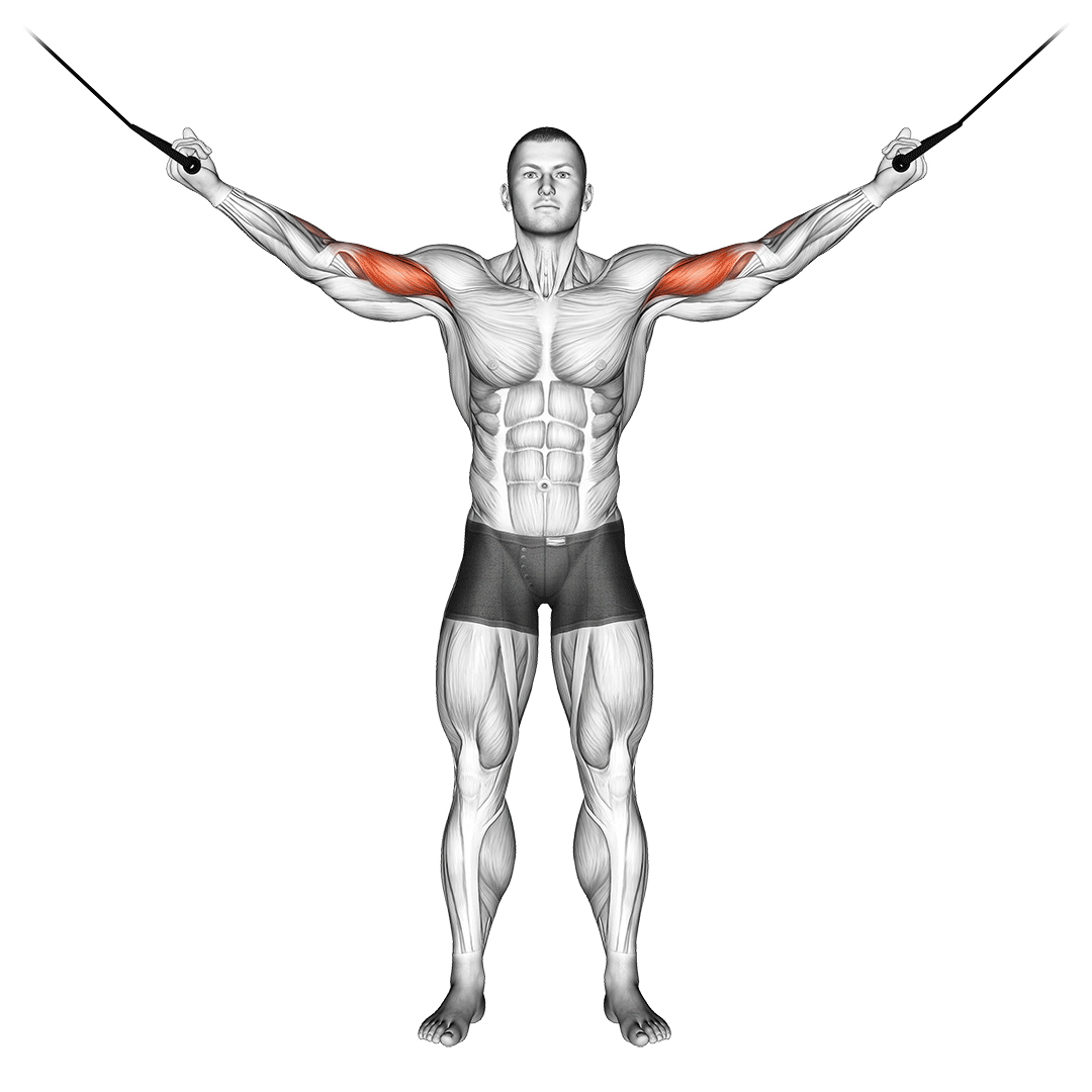 Cable Overhead Curl demo