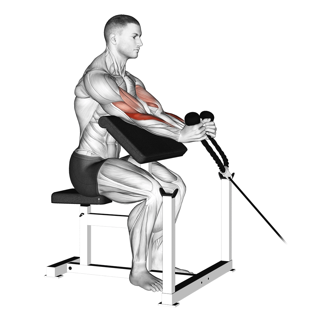 Cable Rope Hammer Preacher Curl demonstration