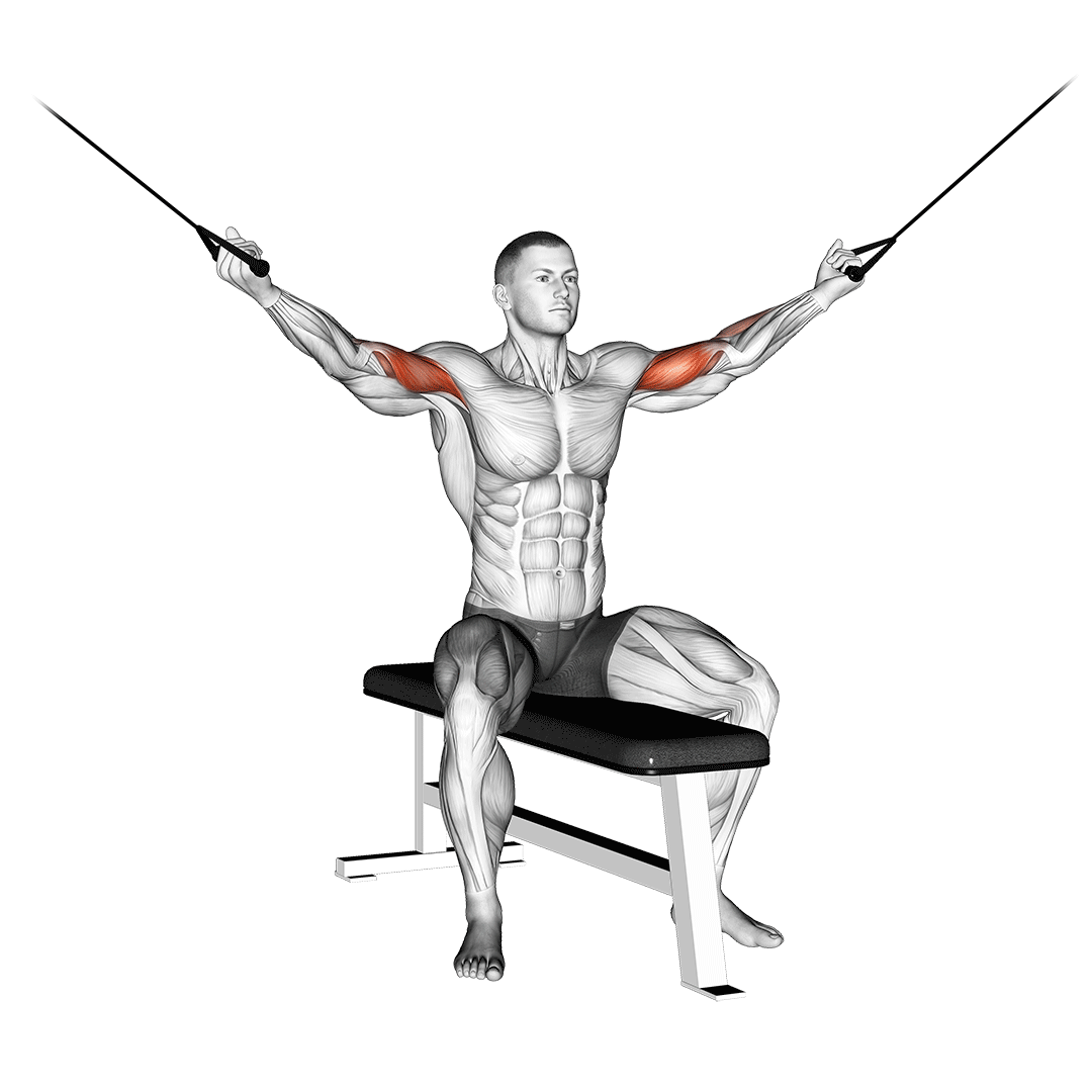 Cable Seated Overhead Curl demonstration