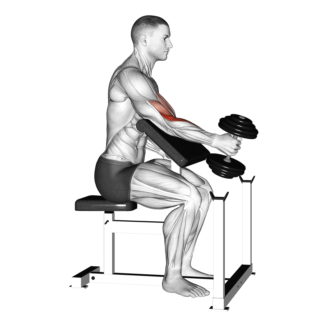 Dumbbell One Arm Hammer Preacher Curl demonstration