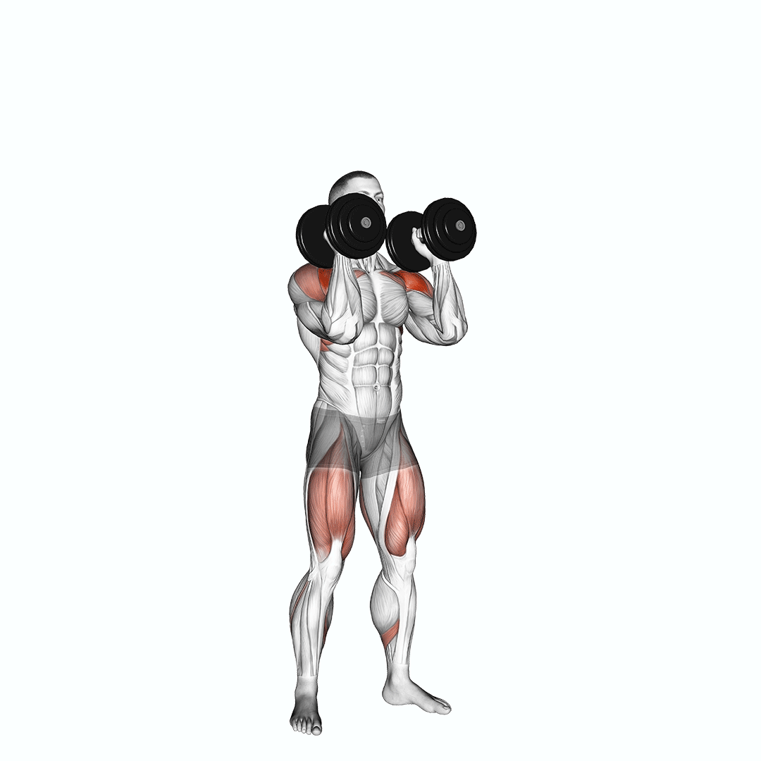 Dumbbell Push Press demonstration