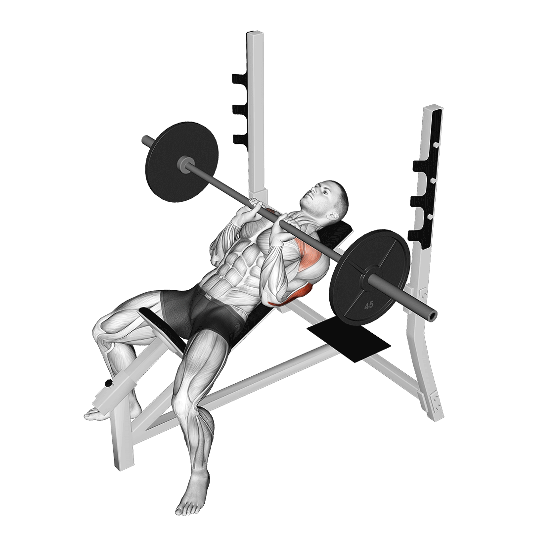 Barbell Incline Close Grip Bench Press demo