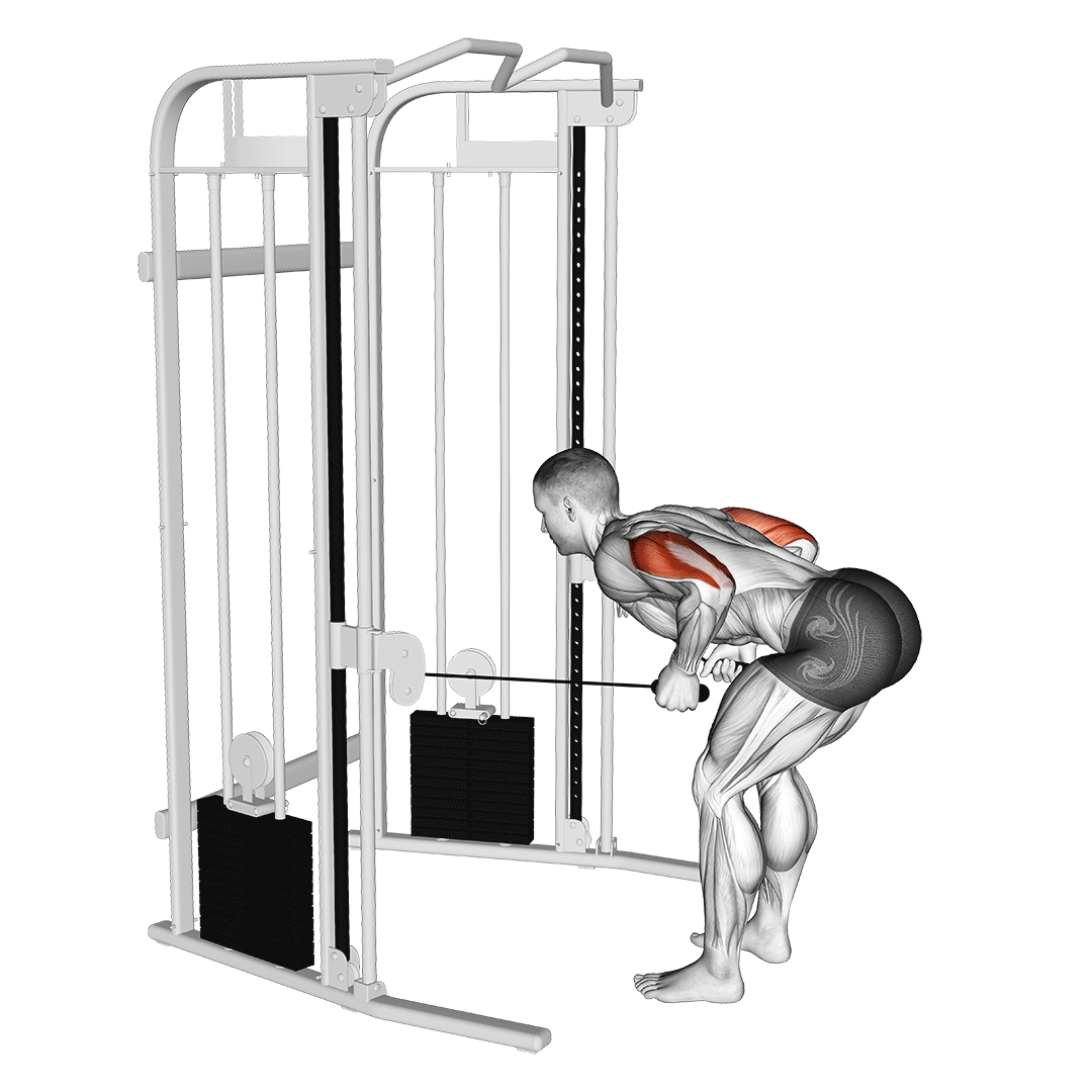 Cable Two Arm Tricep Kickback demonstration