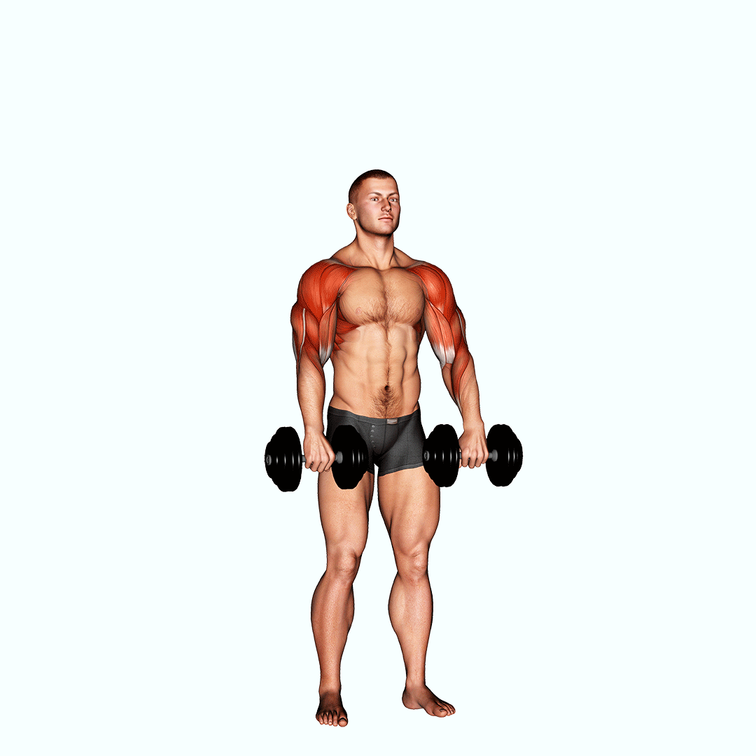 Dumbbell Cuban Press V. 2 demonstration