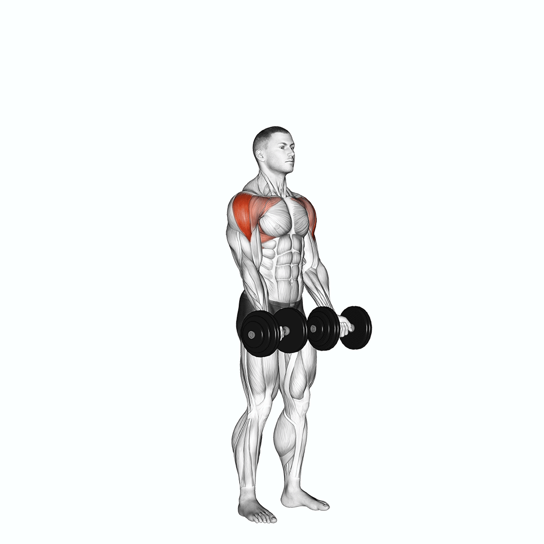 Dumbbell Standing Around World demonstration