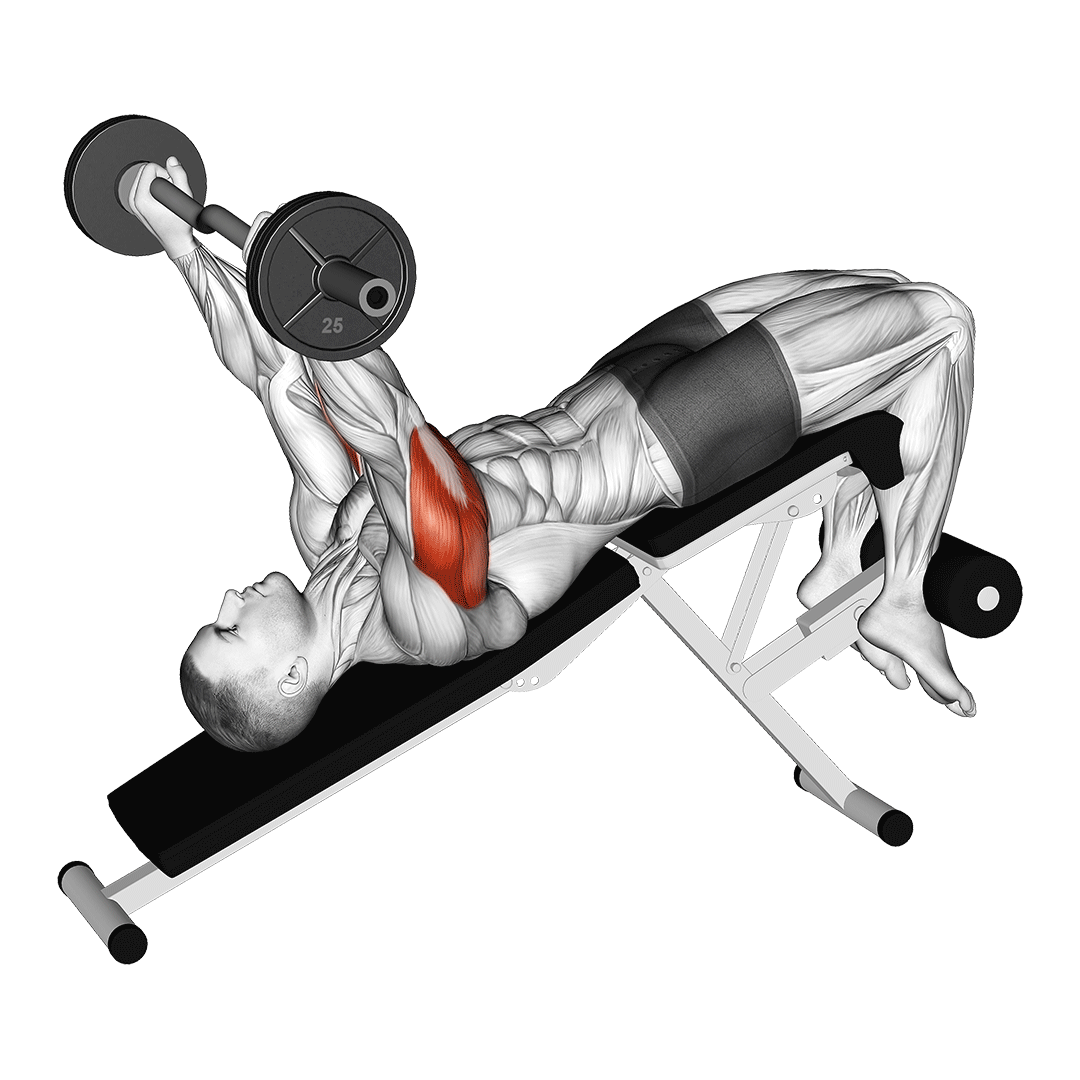 Ez Barbell Decline Triceps Extension demo