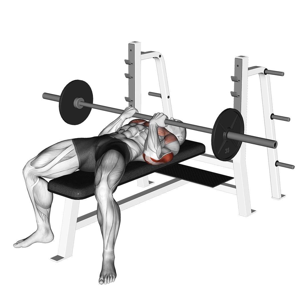 Barbell Reverse Close-Grip Bench Press demo